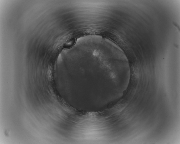 X0000102240080200808221340