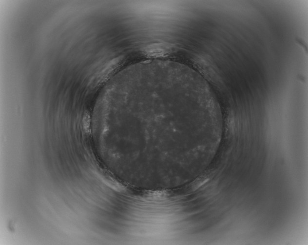 X0000102240081200808221340