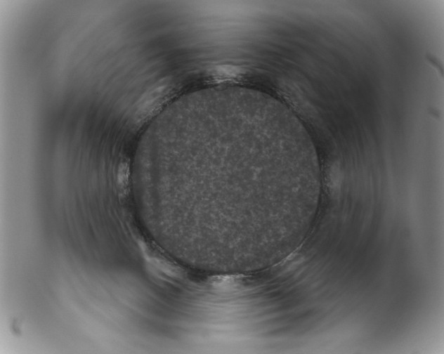 X0000102240082200808221340