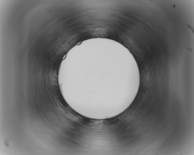 X0000102240083200808221340