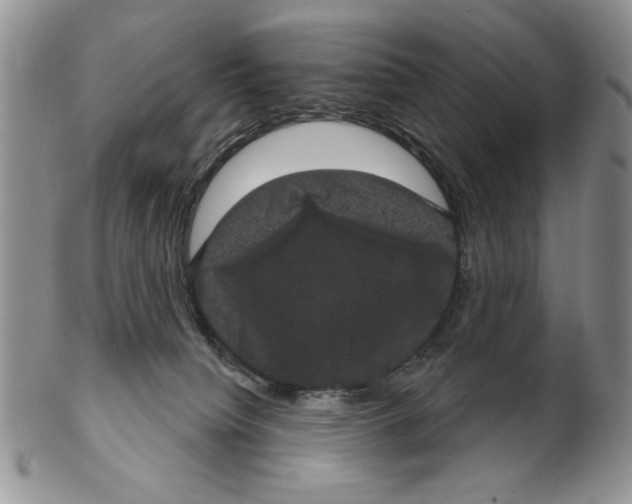 X0000102240084200808221340