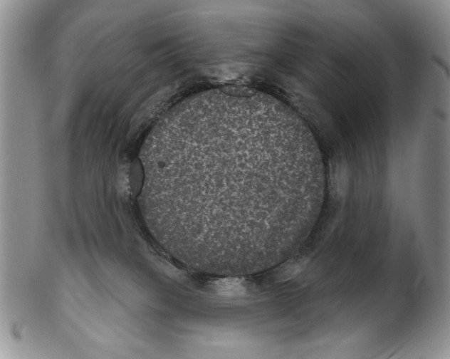 X0000102240085200808221340