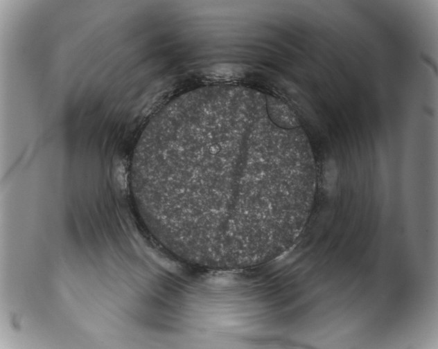 X0000102240086200808221340