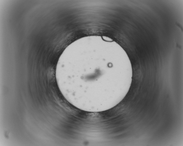 X0000102240087200808221340