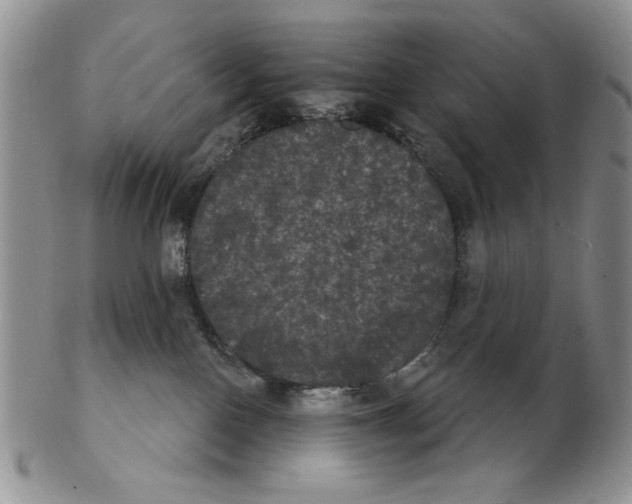 X0000102240090200808221340