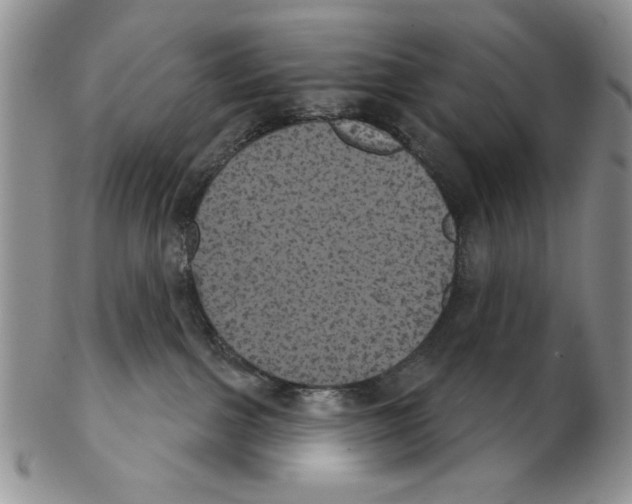 X0000102240091200808221340