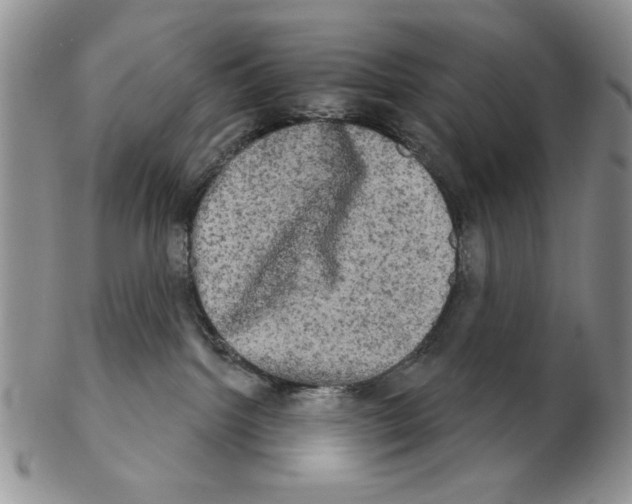 X0000102240092200808221340