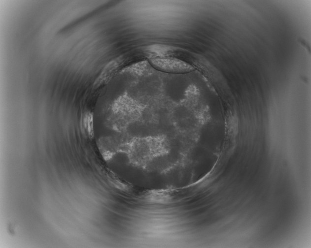 X0000102240094200808221340