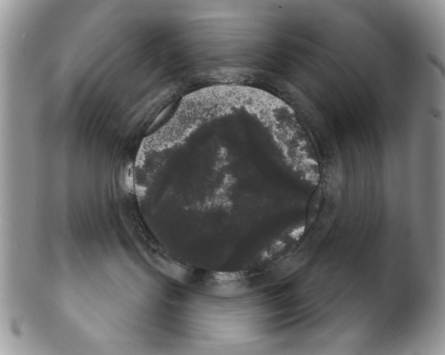 X0000102240095200808221340