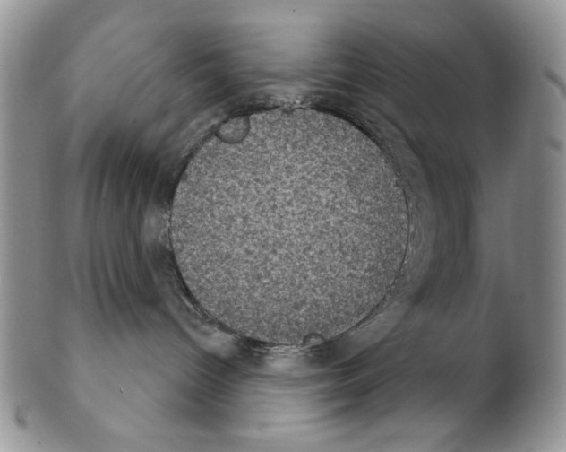 X0000102240096200808221340