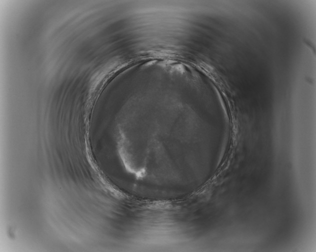 X0000102240097200808221339