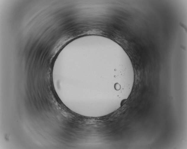 X0000102240098200808221339