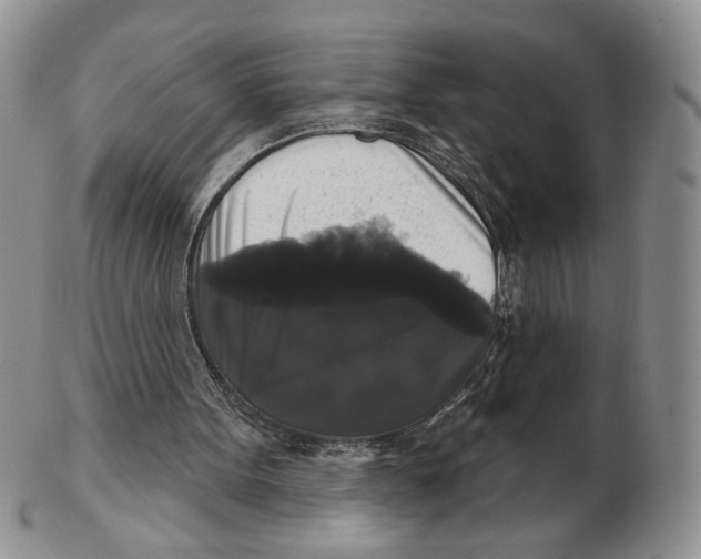 X0000102240099200808221339