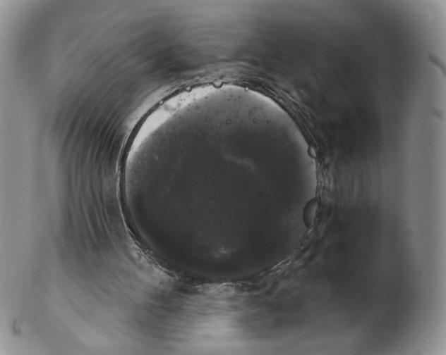 X0000102240100200808221339