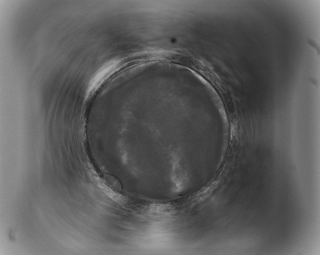 X0000102240101200808221339