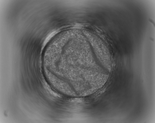 X0000102240102200808221339