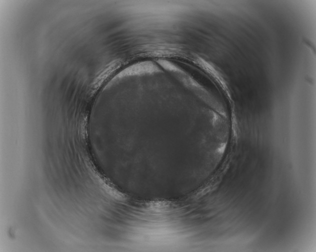 X0000102240105200808221339