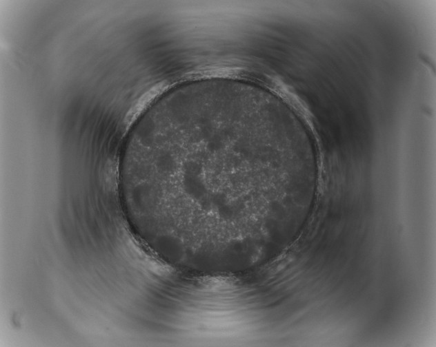 X0000102240107200808221339