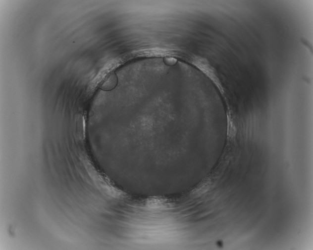 X0000102240109200808221339