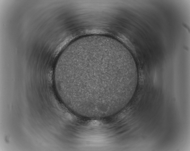 X0000102240111200808221339