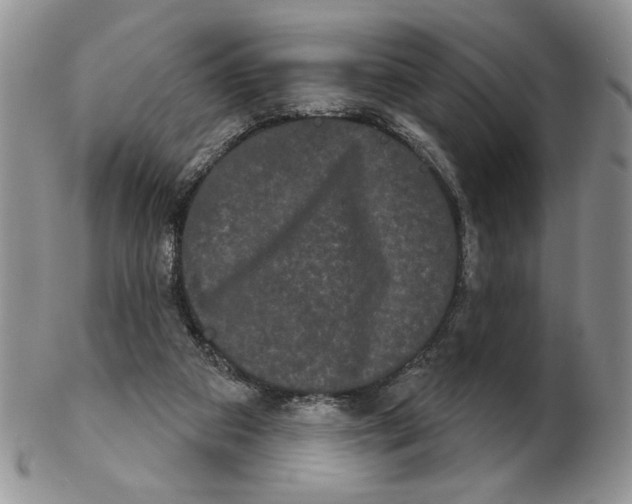 X0000102240113200808221339