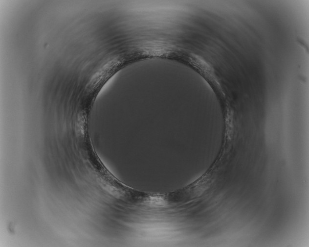 X0000102240114200808221339