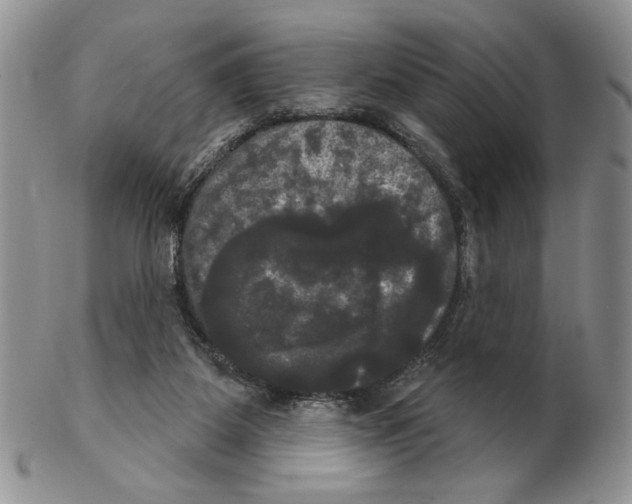 X0000102240115200808221339