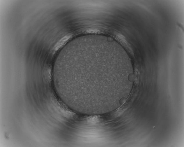 X0000102240116200808221339