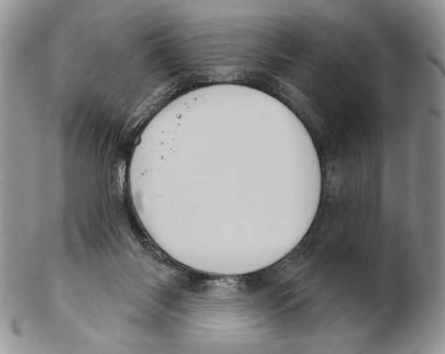 X0000102240118200808221339