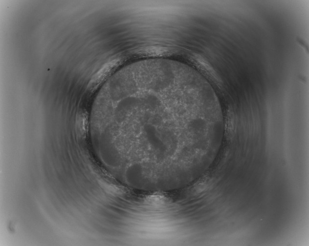 X0000102240119200808221339