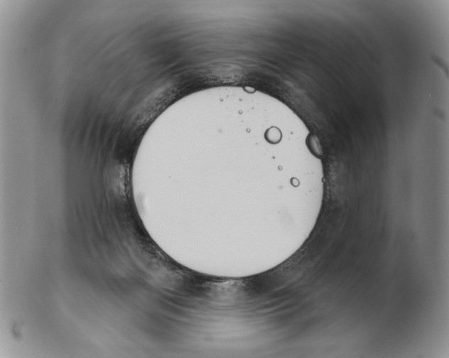 X0000102240122200808221339