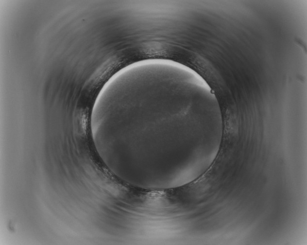 X0000102240124200808221339