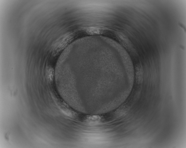 X0000102240125200808221339