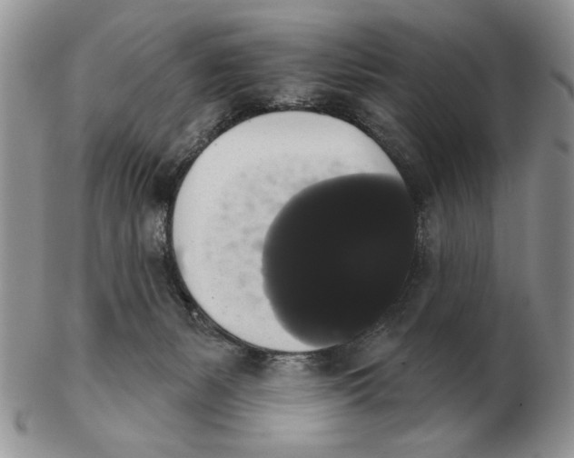 X0000102240127200808221339