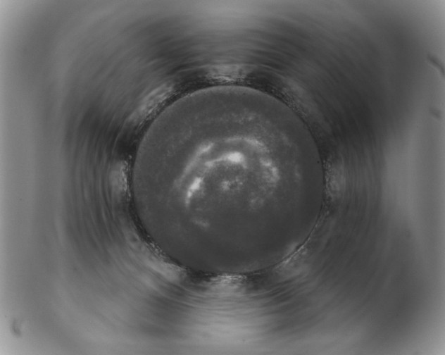 X0000102240128200808221339