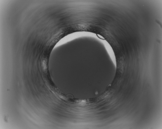 X0000102240131200808221339