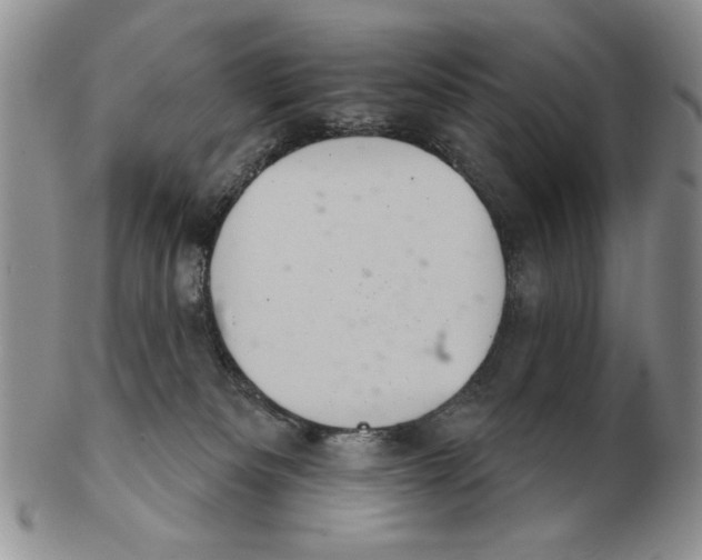 X0000102240133200808221339