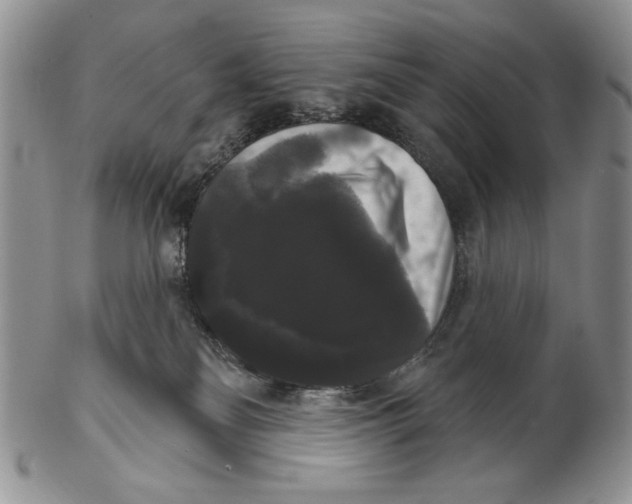 X0000102240134200808221339