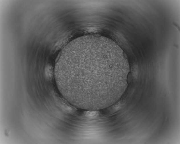 X0000102240135200808221339