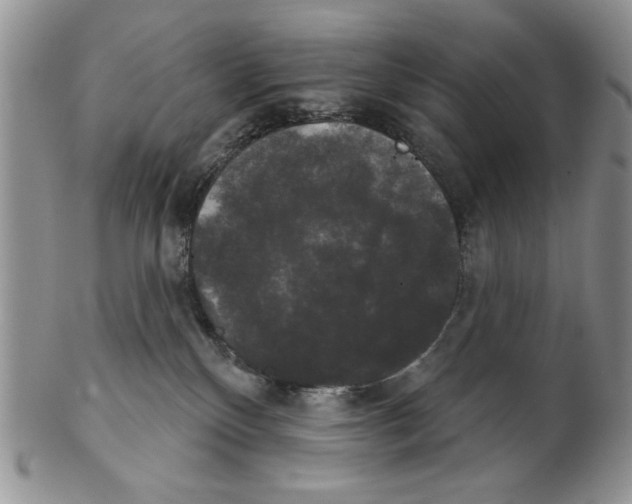 X0000102240136200808221339