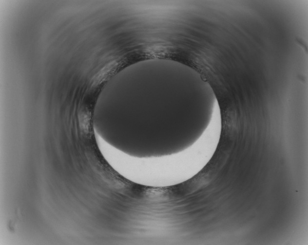 X0000102240139200808221339