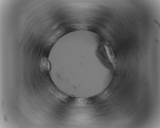 X0000102240141200808221339