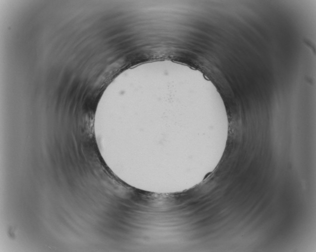 X0000102240142200808221339