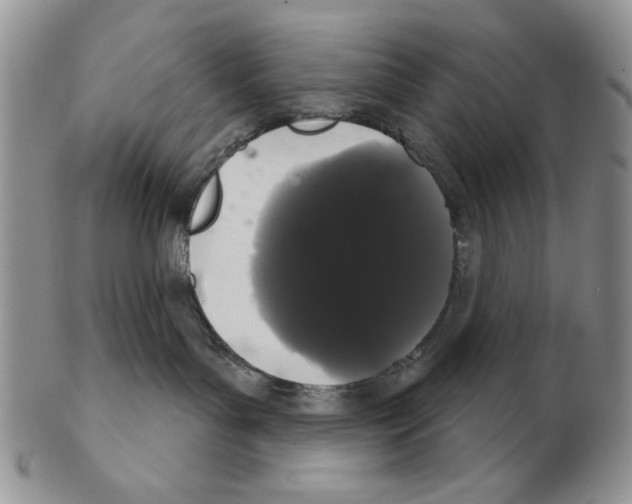 X0000102240143200808221339