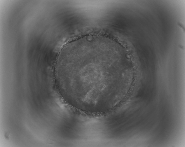 X0000102240144200808221339