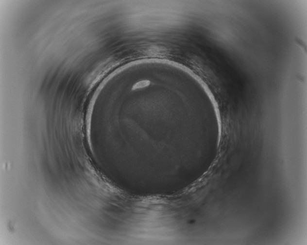 X0000102240146200808221338