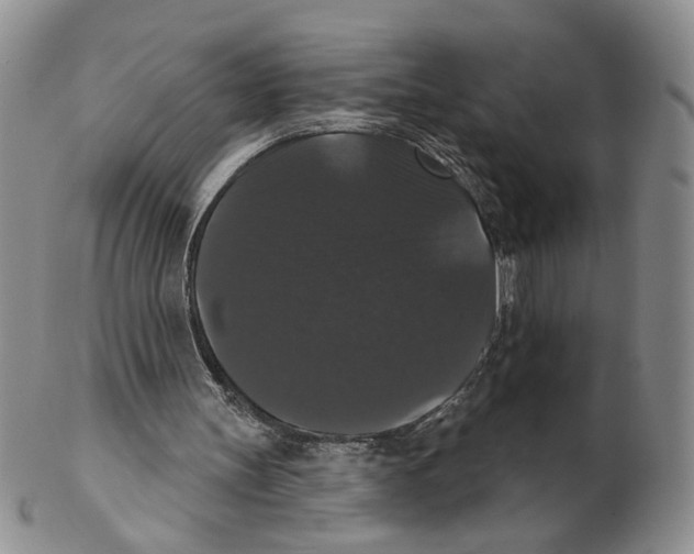 X0000102240147200808221338