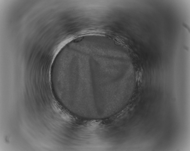 X0000102240148200808221338