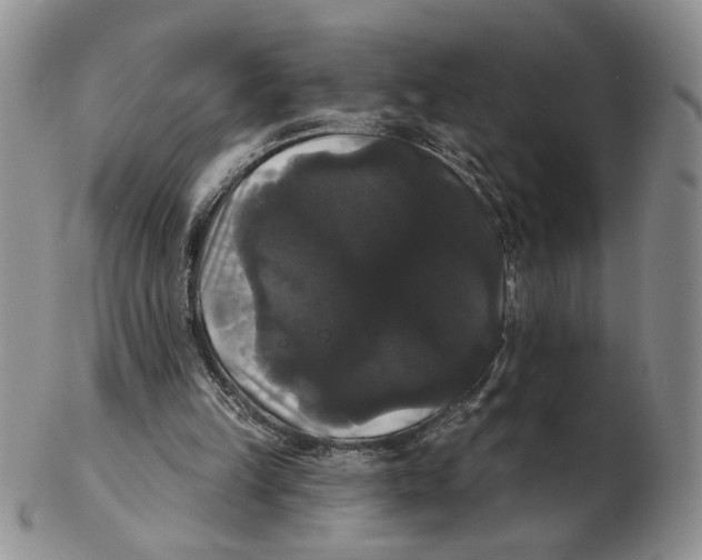 X0000102240149200808221338