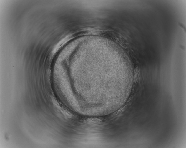 X0000102240150200808221338